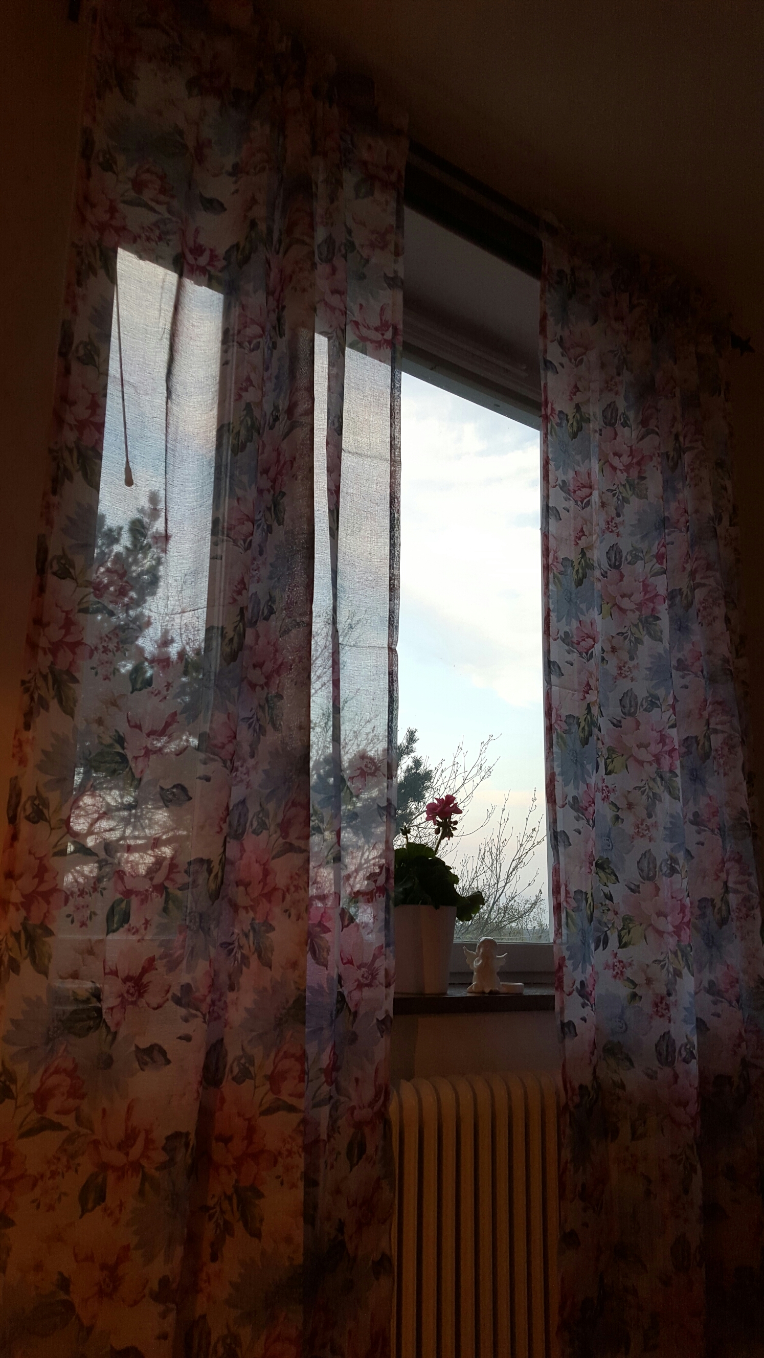 wp-1462246703923 image