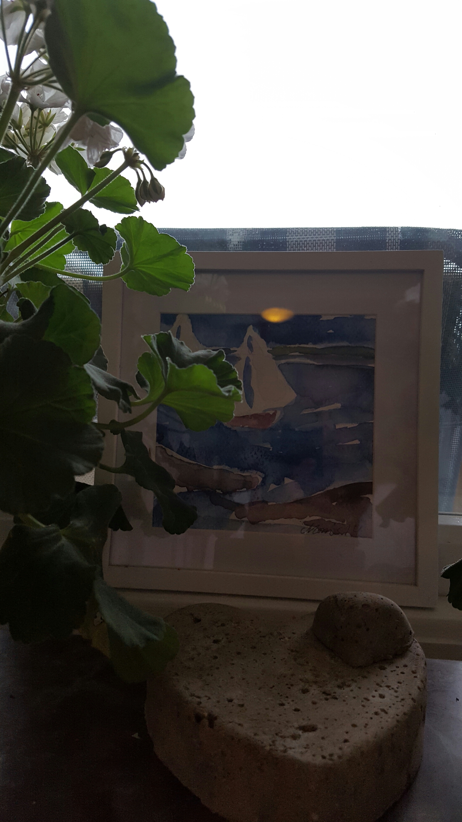wp-1466743619974 image
